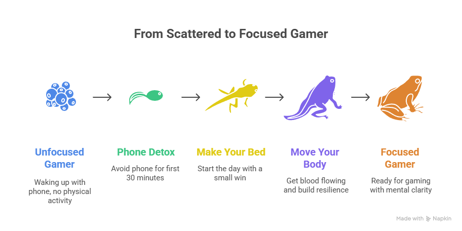 Focused gamer evolution
